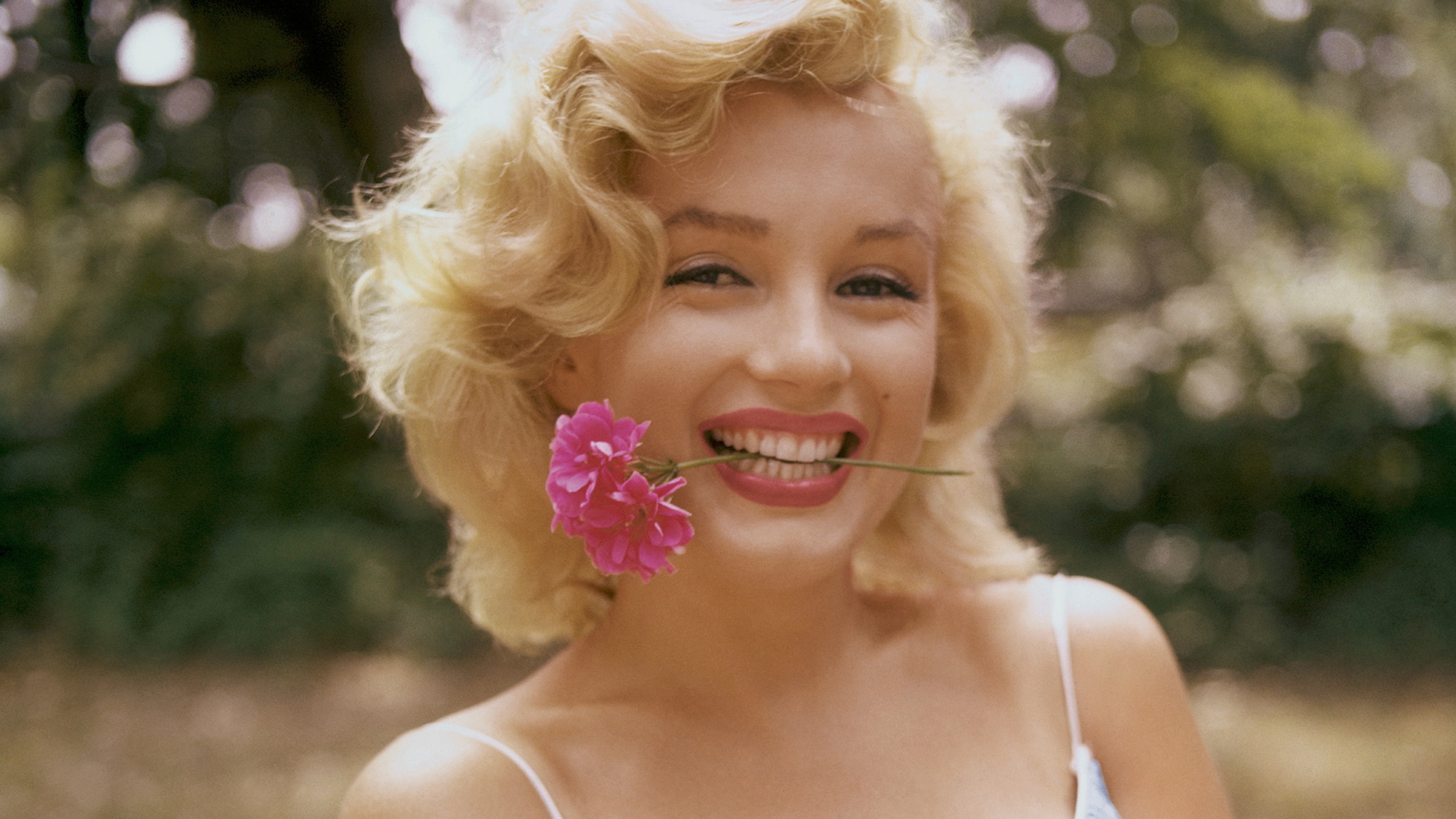 SEE 1951年11月号 マリリン・モンロー特集 激安な (1973年) マリリン・モンロー写真集 |本 Amazon | 通販