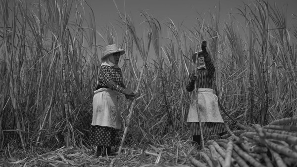 サブ6-20190223-042336773