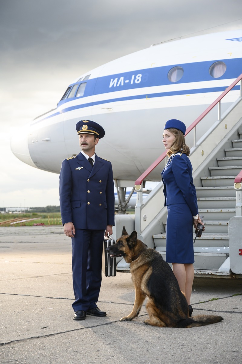 ハチとパルマ sub02