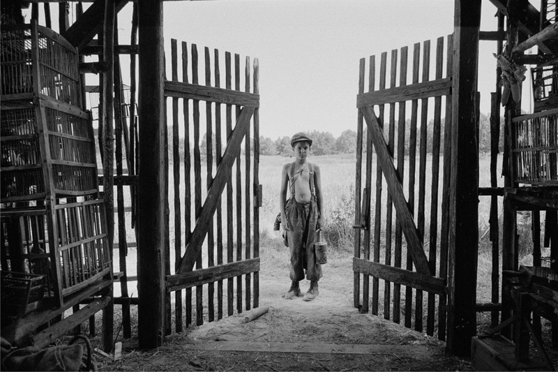 異端の鳥_サブ2