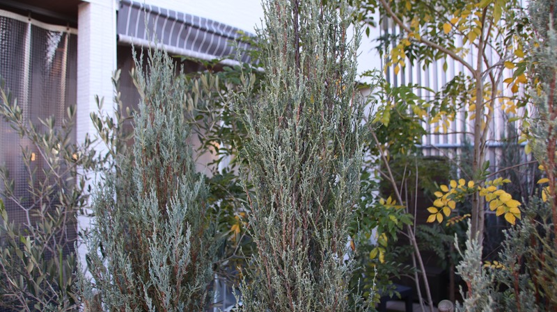 20221218151345_IMG_1849