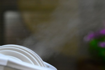 εᡢȥԡˤϥĥ饤Ǥ