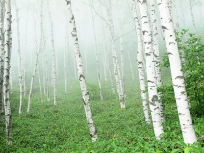 31088f9a4ef5554f5256151b6448e7d6_s