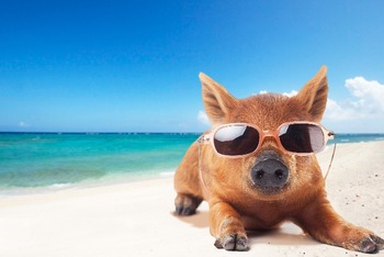 809bec33da119f5531e84a7ef8a6c868_s