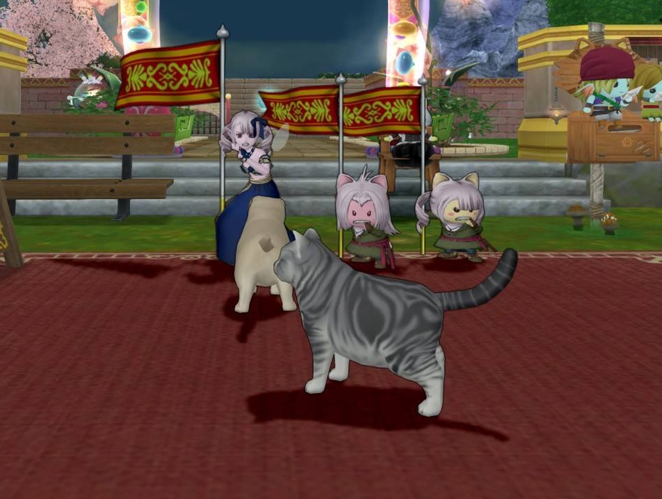 ガニャポンと賢者の壁 りおらぼ