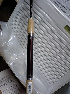 赤と黒のイングラム : さかなと釣りと僕