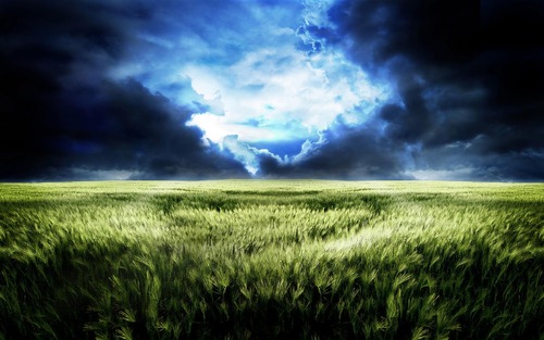 The-dream-world-of-endless-wheat-fields-scenery_1920x1200