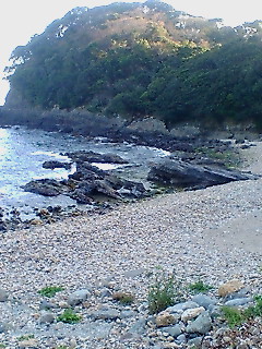 採集 下を向いて歩こう 年中暁を覚えず