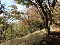 PB040017