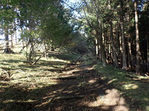 PB040012