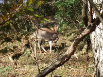 PB040023