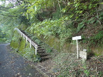 PB040008