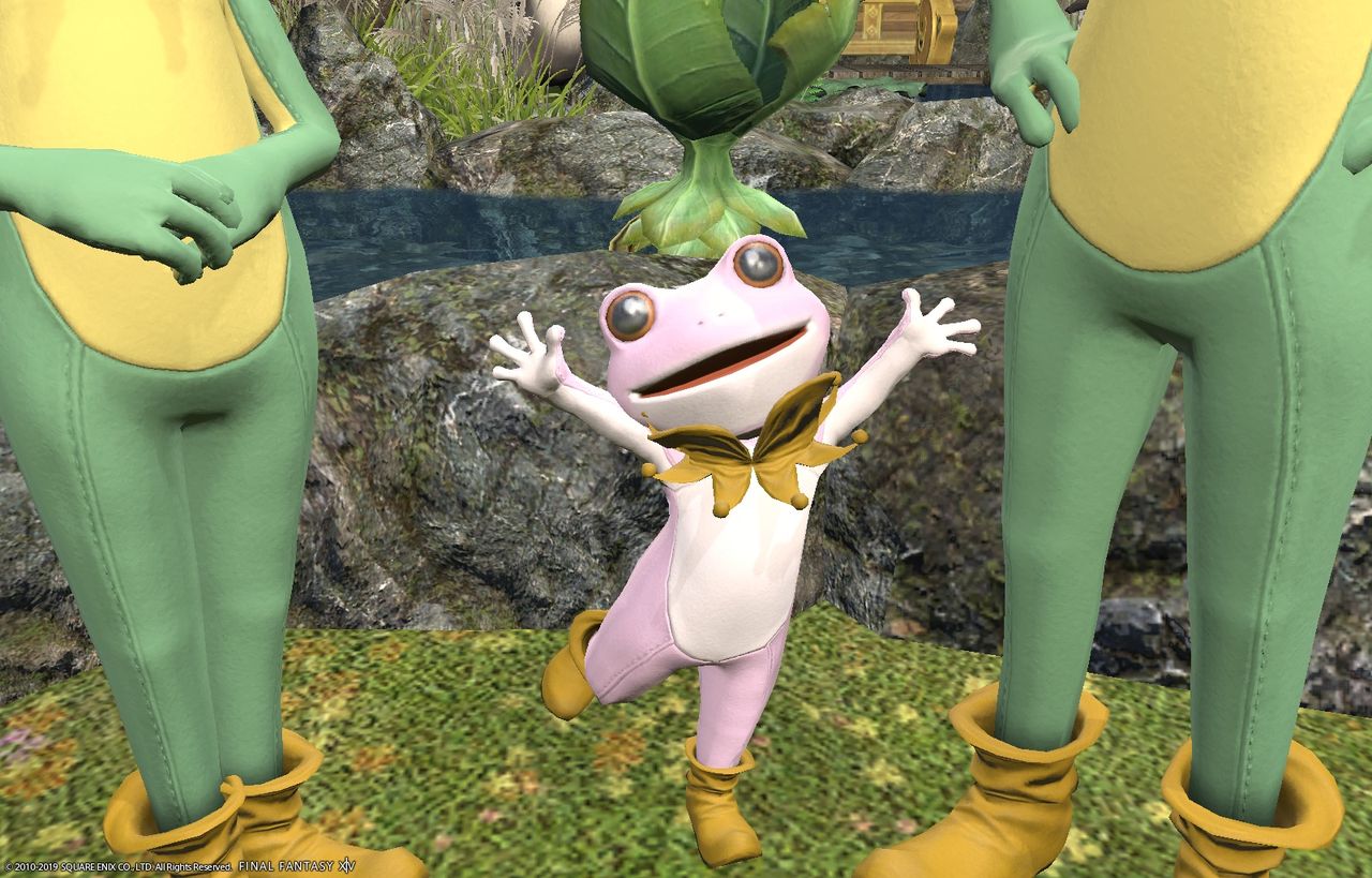 念願のカエルスーツをてにいれたぞー 永い後日談のプリプフル