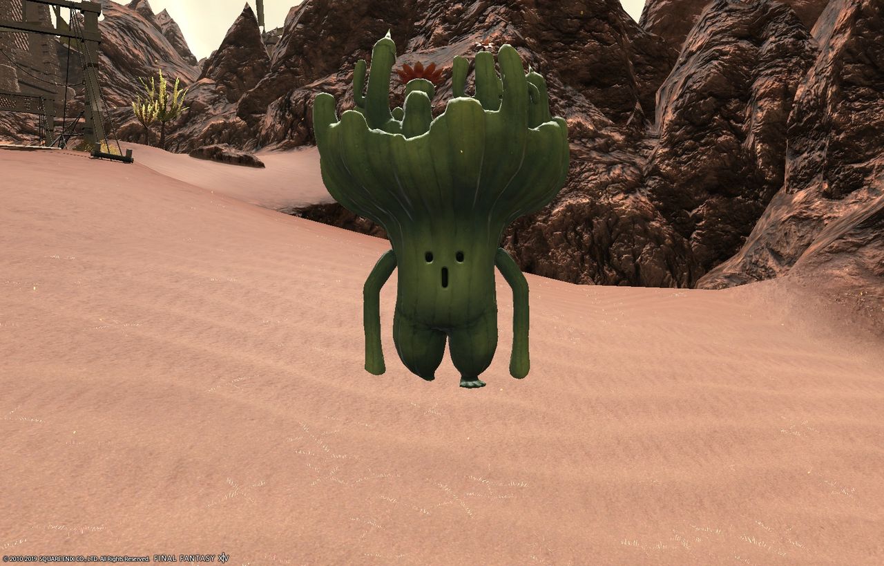 Puripu Kaname 日記 漆黒エリアにデカいサボテンと 懐かしい敵がいた Final Fantasy Xiv The Lodestone Puripu Kaname 日記 漆黒エリアにデカいサボテンと 懐かしい敵がいた Final Fantasy Xiv The Lodestone