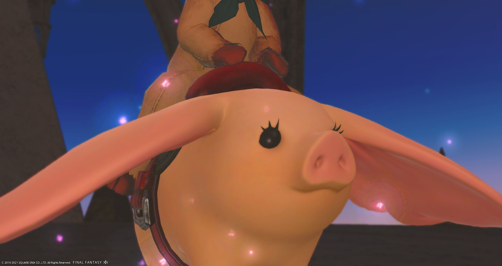 Puripu Kaname Blog Entry 明日メンテなんですね メンテ終了直前に見る話しでもしませうか Final Fantasy Xiv The Lodestone