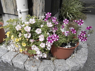 DSCN7064