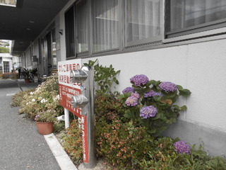 DSCN7057