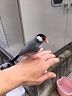 image2 - コピー