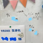 IMG_1951_LI