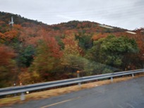 IMG00004_HDR