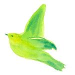 鳥緑色 - コピー