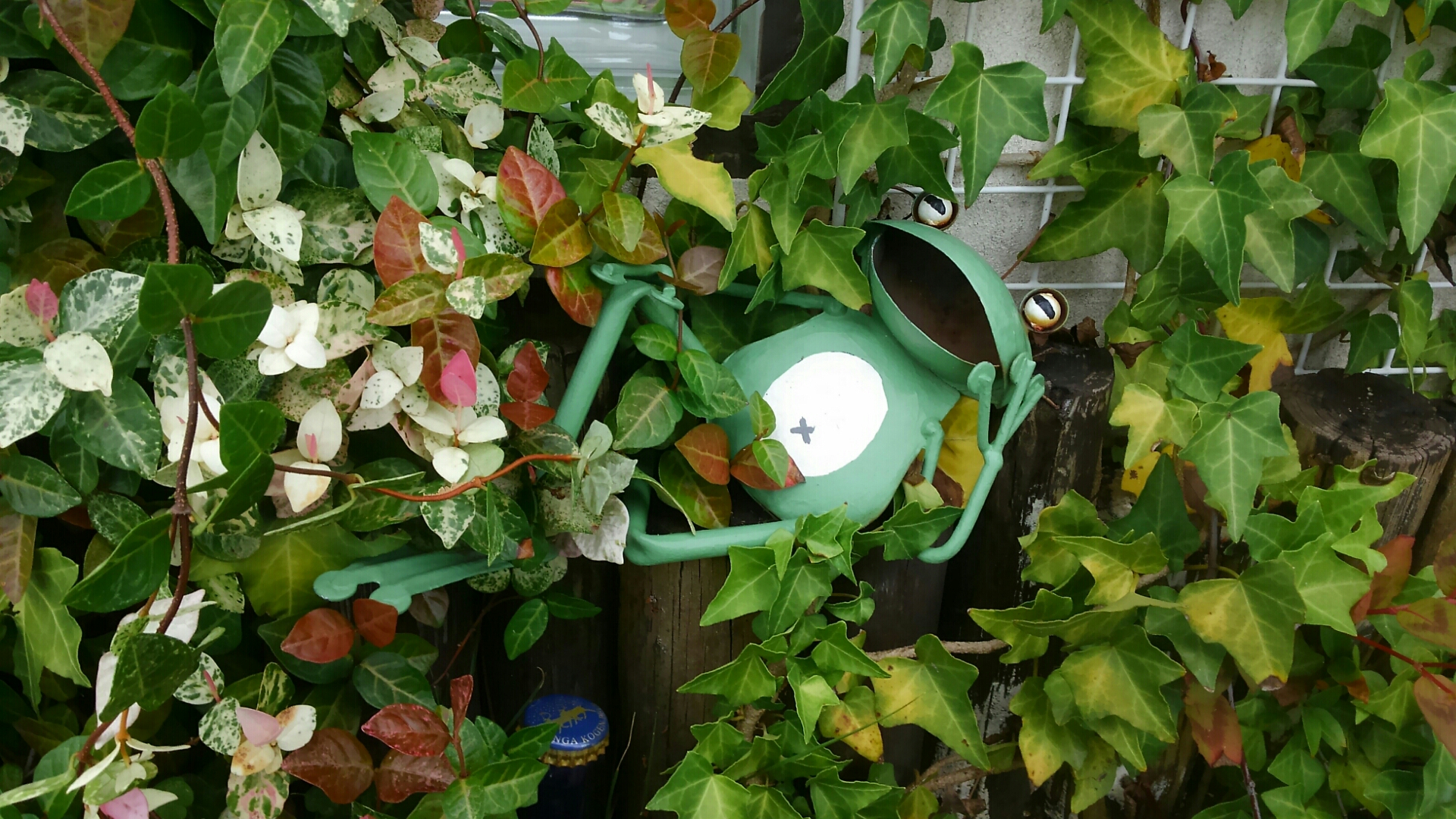 U さんの庭に行く 小さな庭の開拓者 U さんの庭に行く 小さな庭の開拓者