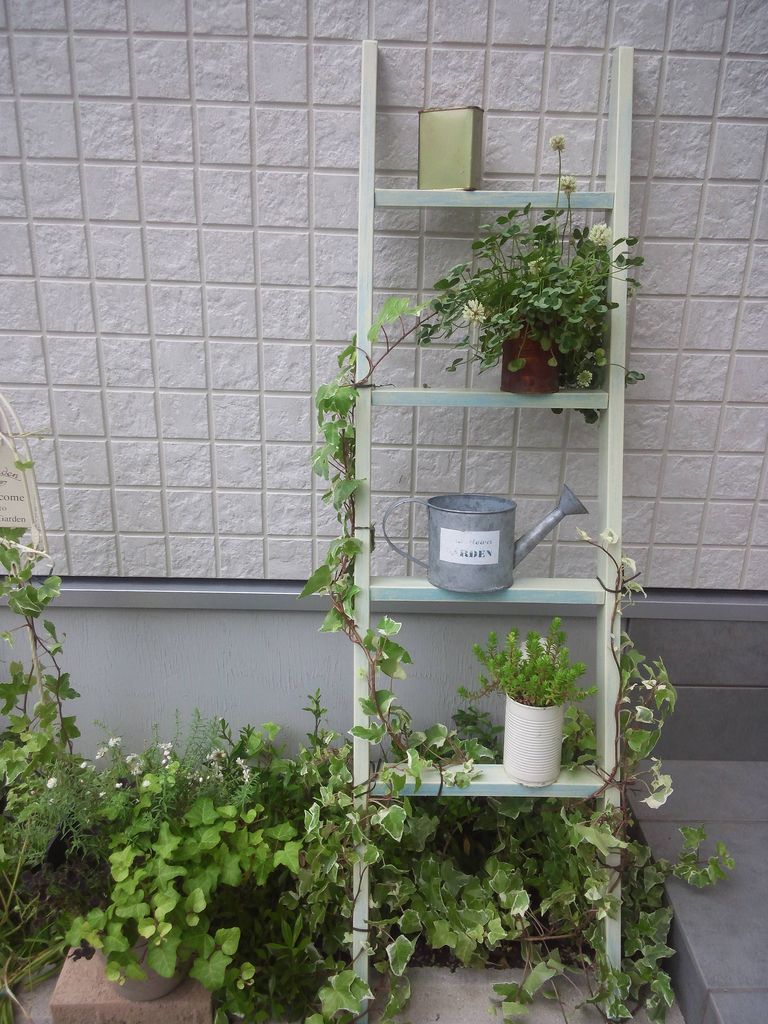 新しいガーデニング雑貨 ハシゴ 小さな庭の開拓者