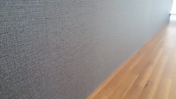 84336986_253723102280526_4032556351971393536_n