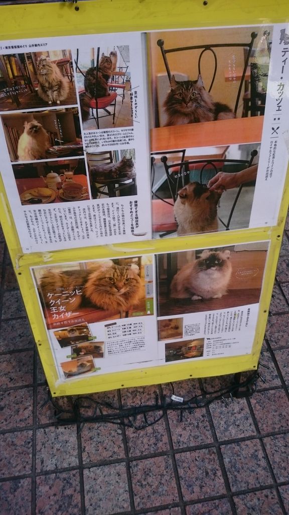 新宿区 新宿御苑前 ディーカッツェ りしのカレーとお酒と美味しい物の本棚