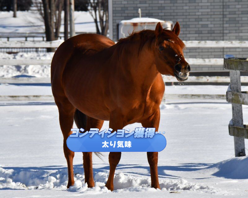 ウマ娘 寝ながらタンポポ食べるグラスワンダー可愛いよね ウマ娘まとめ超速報
