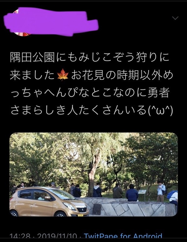 【ドラクエウォーク】お前らってなんでリュック背負うの？のサムネイル画像