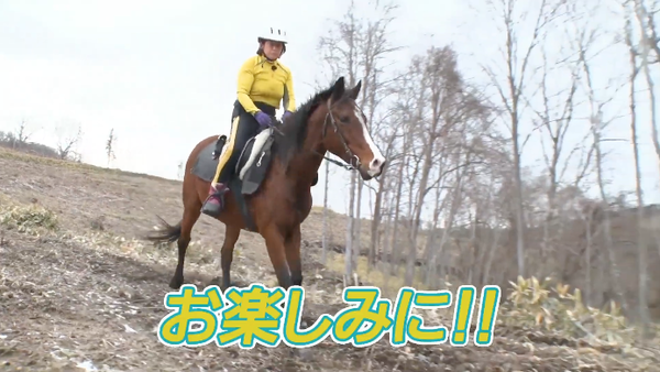 スクリーンショット 2021-05-27 22.13.28