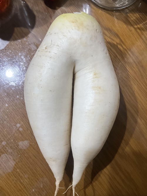 no title