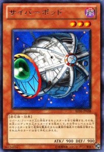 41sr8xlpxsL._AC_UF894,1000_QL80_