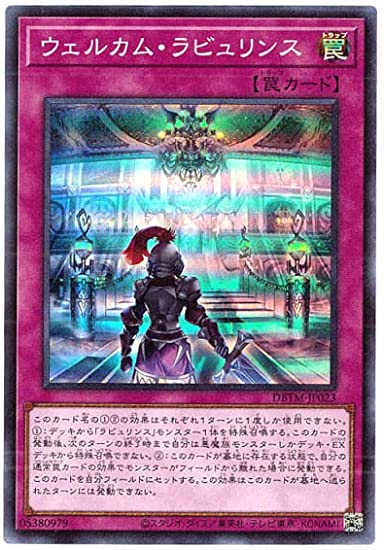 51lYbP1iWNL._AC_SY550_