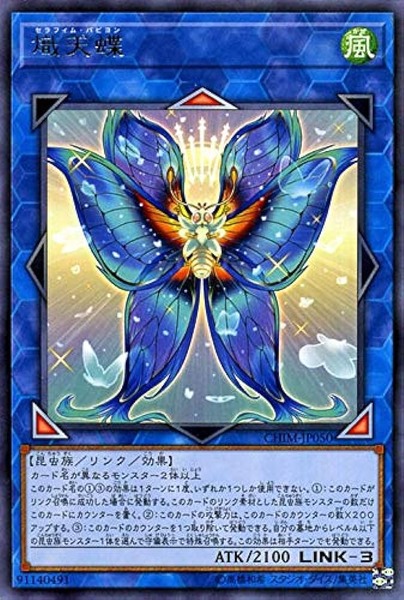 51MQy5tebpL._AC_UF894,1000_QL80_