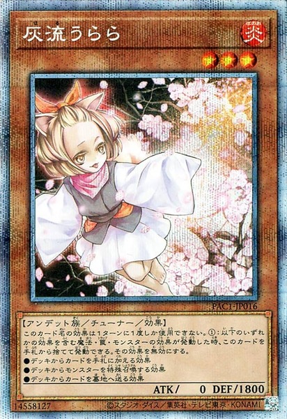 71TWti5BgpL._AC_UF894,1000_QL80_