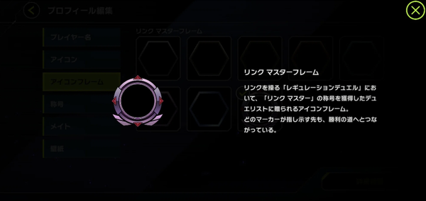25333098-s