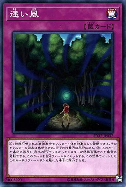 51jXridl+UL._AC_UF894,1000_QL80_
