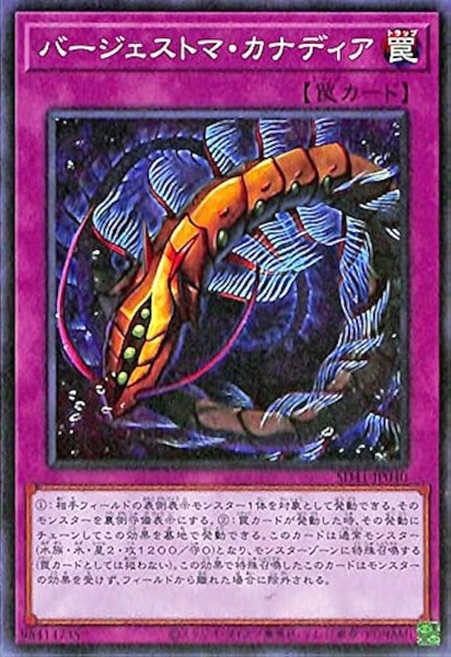 51D6k356XMS._AC_UF894,1000_QL80_