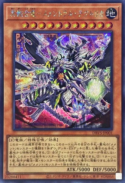 DBVS_81