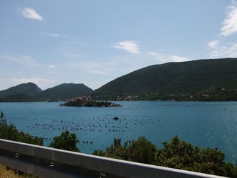 ston16