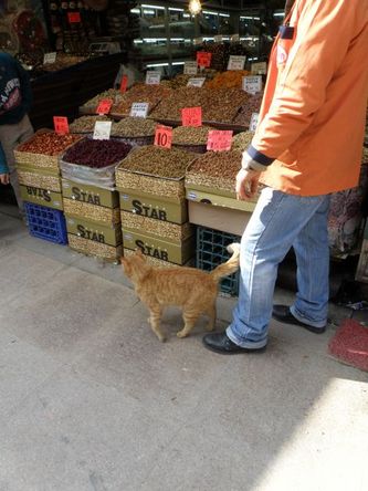 bazar07