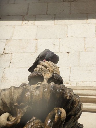 dubrovnik15