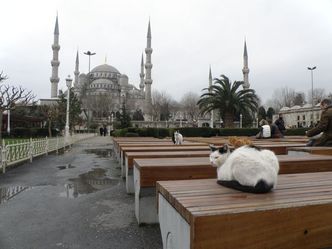 istanbul10