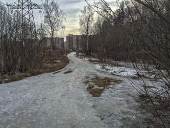 20150329-IMG_0417
