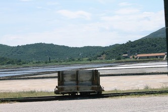 ston17