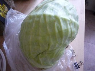 kyabe1