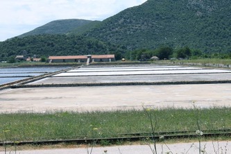 ston21