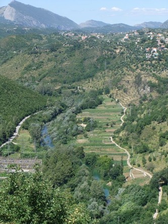 ston01